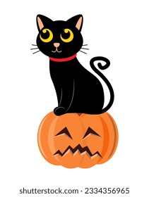 Black cat and halloween pumpkin . Cartoon character . Vector illustration .