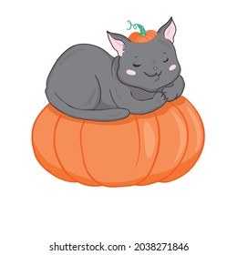 Black cat in a Halloween pumpkin and ghost. Background is separate. Vector, illustration.