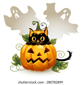 Black cat in a Halloween pumpkin and ghost. Background is separate.