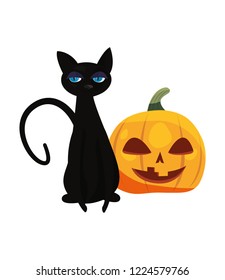 black cat halloween and pumpkin party