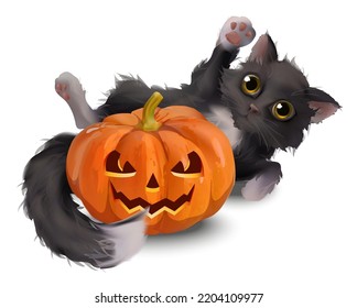 Black cat for halloween with a pumpkin and a skull. Sticker drawing for a party.