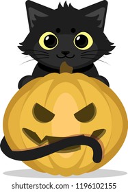 Сute black cat with Halloween pumpkin. Vector illustration. Isolated on white.