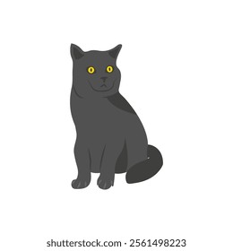 Black Cat, Halloween Vector Illustration, Isolated