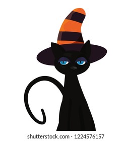 black cat halloween and witch hat