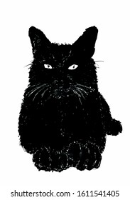 Black Cat, hand drawn vector illustration without background