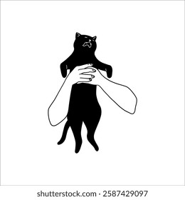 Black cat held in hands