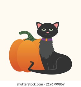 Black cat with her Halloween pumpkin
