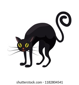 Black cat, holiday Halloween, character, attribute, icon, vector, illustration, isolated, cartoon style