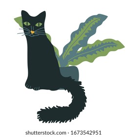 Black cat and home plant illustration