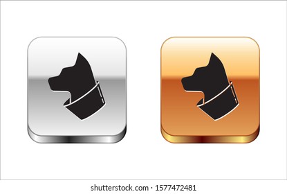Black Cat icon isolated on white background. Silver-gold square button. Vector Illustration