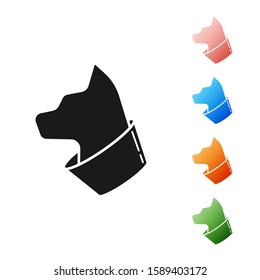 Black Cat icon isolated on white background. Set icons colorful. Vector Illustration