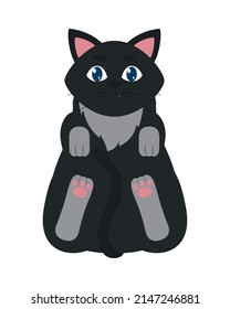 black cat icon on white background