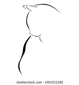 Black cat illustration. isolated with white background.can use as icon or in other grahics and illustration.