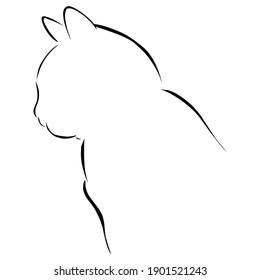 Black cat illustration. isolated with white background.can use as icon or in other grahics and illustration.