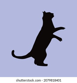 A black cat image and  icon , Black silhouette on white background, Vector illustration, black cat, standing  vector .
