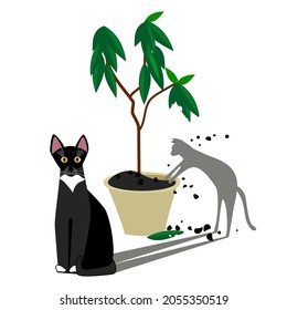 Black cat and indoor flower. Vector illustration 