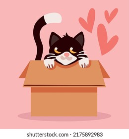 Black Cat Inside Box, Cartoon