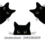 Black cat isolated on white background	