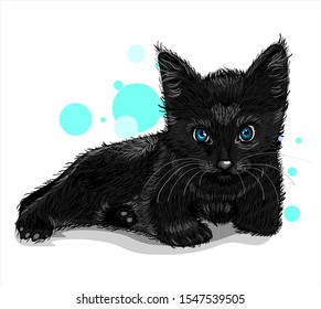 black cat isolated on white background. Wall stickers	