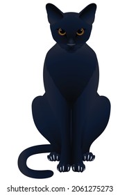 Black cat isolated on white background. Graphic vector