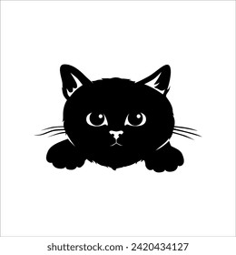 Black cat isolated on white. Vector illustration.