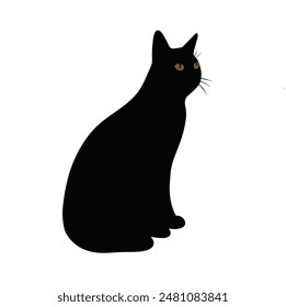 Black cat isolated on white background	