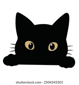 Black cat isolated on white background