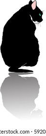 Black cat isolated on white vector