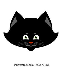 Black cat isolated. Sweetheart Kitten home pet
