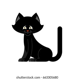 Black cat isolated. Sweetheart Kitten home pet
