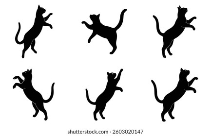 Black cat jump up silhouette vector set illustration