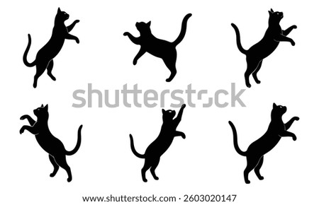 Black cat jump up silhouette vector set illustration