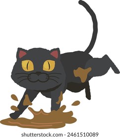 
Un gato negro saltó a un charco de barro