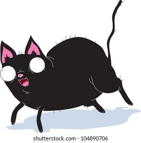 Black Cat Jumping