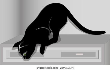 Black cat jumping on top