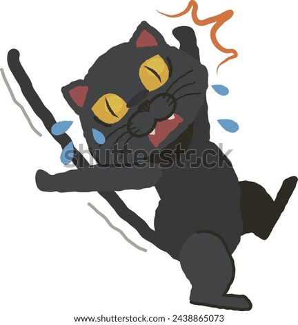 A black cat jumps up in surprise
