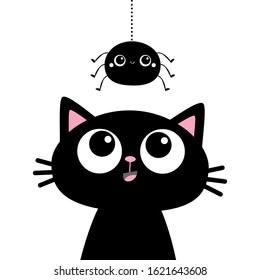 Black cat kitten face head silhouette looking up to hanging spider. Cute cartoon funny character. Kawaii baby animal. Pet sticker. Flat design. Scandinavian style. White background Vector illustration