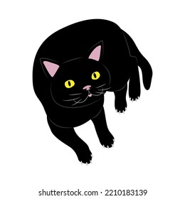 Black cat lies down and looks up. vector illustration