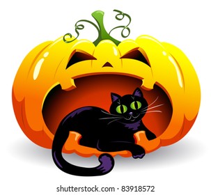 The black cat lies in a pumpkin. Vector illustration. Isolated on white.