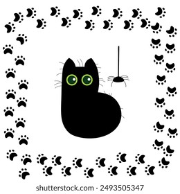 black cat and little black spider
