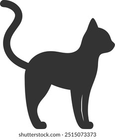 A black cat with a long tail is standing on a white background. The cat is looking to the right