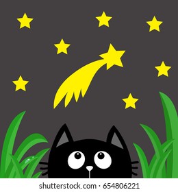 Black cat looking up to comet with stars in the dark night. Green grass dew drop. Cute cartoon character. Kawaii romantic animal. Greeting card. Flat Gray background Isolated. Vector illustration