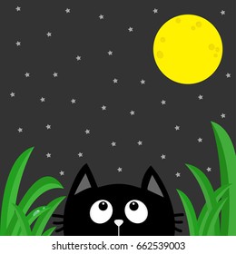 Black cat looking stars and moon in the dark night. Green grass dew drop. Cute cartoon character.  Vector illustration