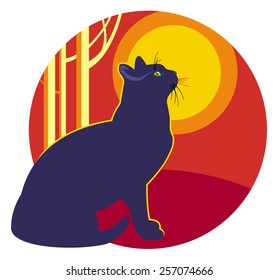 Black cat is looking to the sunset 