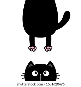 Black cat looking up. Funny face head silhouette. Hanging fat body paw print, tail. Kawaii animal. Baby card. Notebook cover. Cute cartoon character. Pet collection. Flat. Blue background. Vector