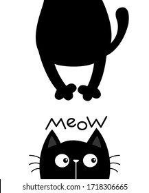 Black cat looking up. Meow. Funny face head silhouette. Kawaii animal. Hanging fat body paw, tail. Baby card. Notebook cover. Cute cartoon character. Pet collection. Flat. Blue background. Vector
