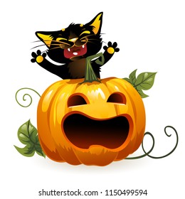 Black cat looks out from behind a Halloween pumpkin. Isolated on a white background. Vector Illustration.