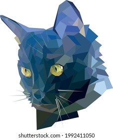 Black cat in lowpoly style
