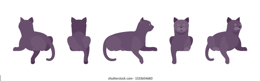 Black Cat lying. Active healthy kitten with dark, gray colored fur, cute funny pet, mystic bad luck omen. Vector flat style cartoon illustration isolated on white background, different views