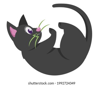 Black cat lying on its back side view. Halloween character in cartoon style